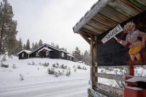 Newly renovated cabin in Nesfjellet, Nesbyen